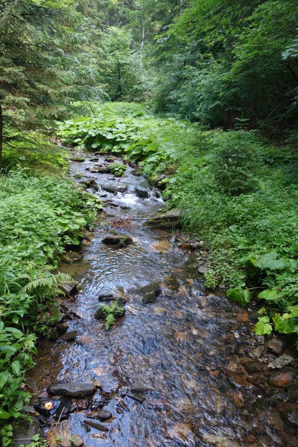 Penzion Chata Na Mlýně Horni Mesto Exteriér fotografie