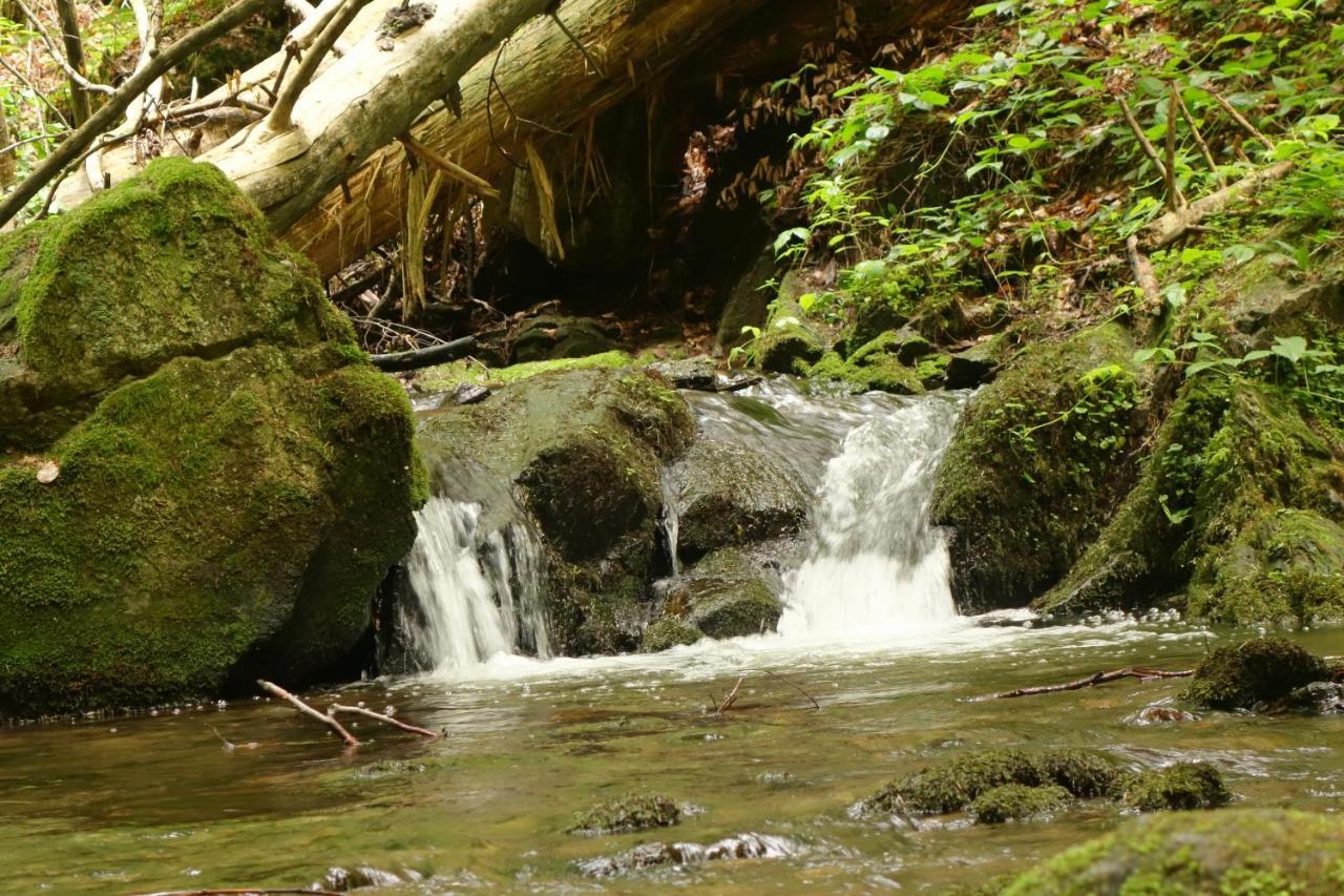 Penzion Chata Na Mlýně Horni Mesto Exteriér fotografie